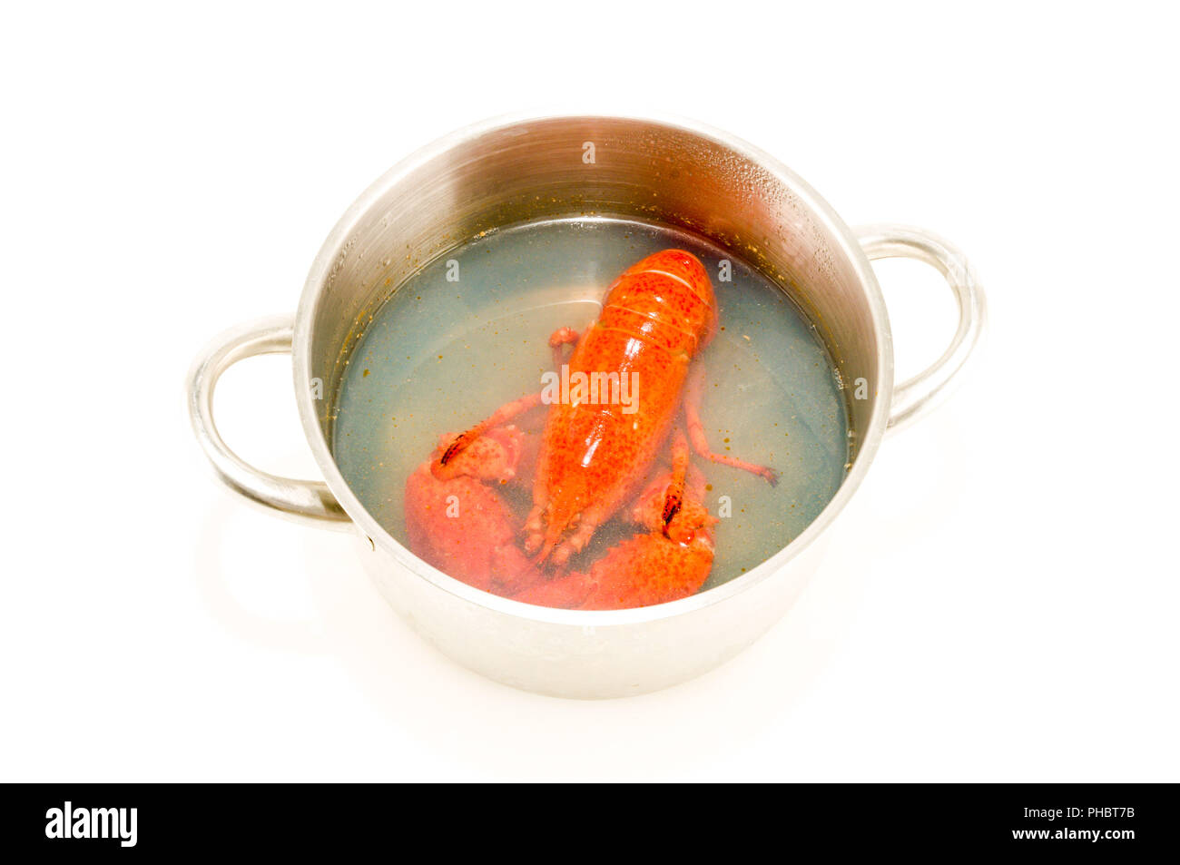 Lecker frisch gedünsteter lobster Stockfoto