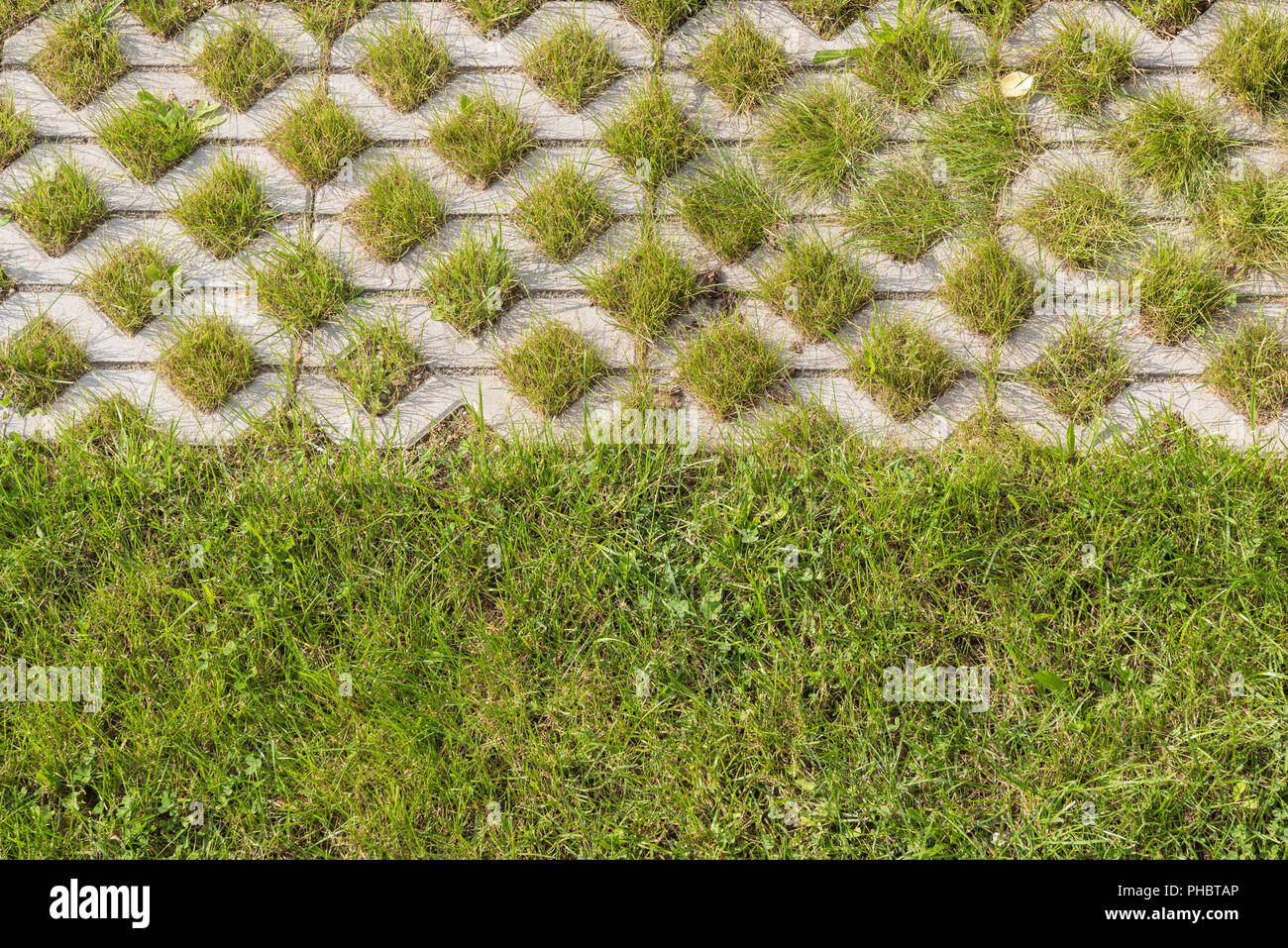 Rasen als Muster und Abgrenzung im Garten Stockfoto