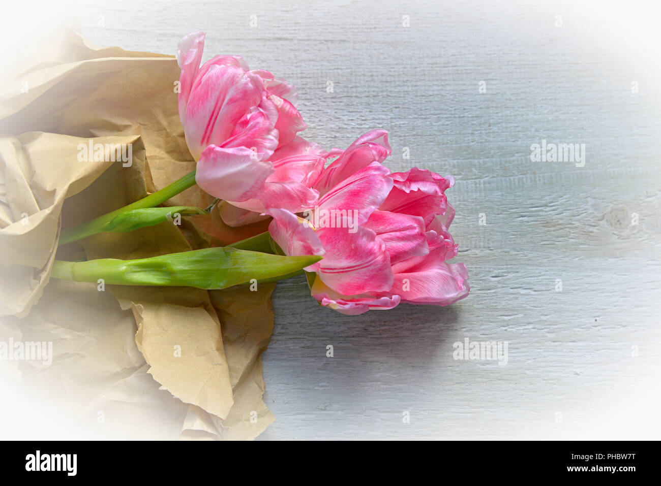 Foto Strauß auf alten Holz Hintergrund Stockfoto