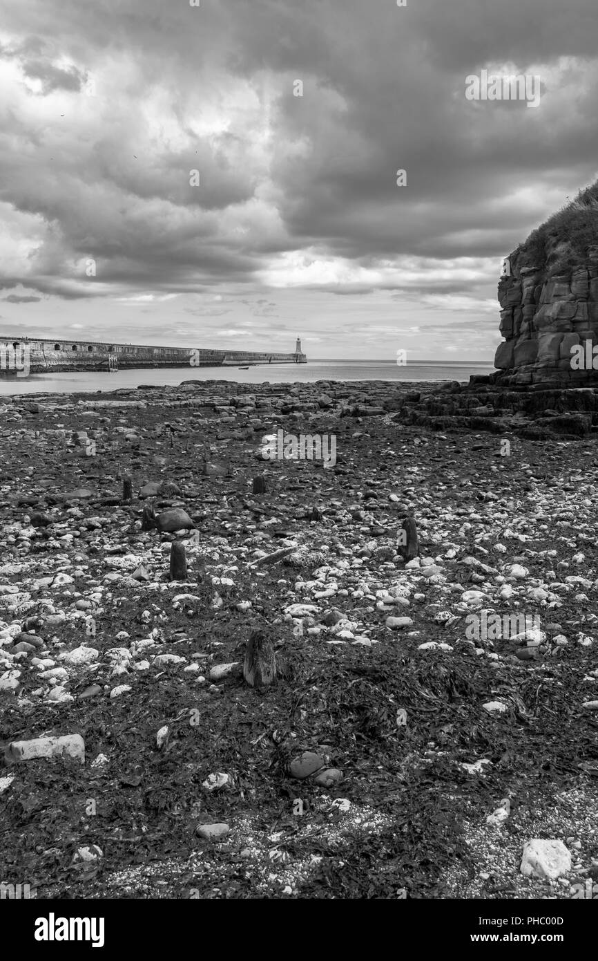 Schöne Landschaft rund um Tynemouth Pier und lighhouse, Tynemouth, UK in Schwarz und Weiß und Hochformat Stockfoto