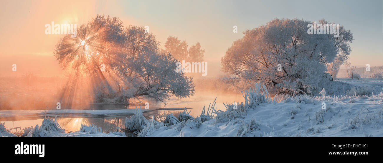 Weihnachten Morgen. Weihnachten Licht. Weiß eisige Bäume mit hellen Morgen Sonnenlicht. Winter Panorama der verschneiten Natur. Stockfoto
