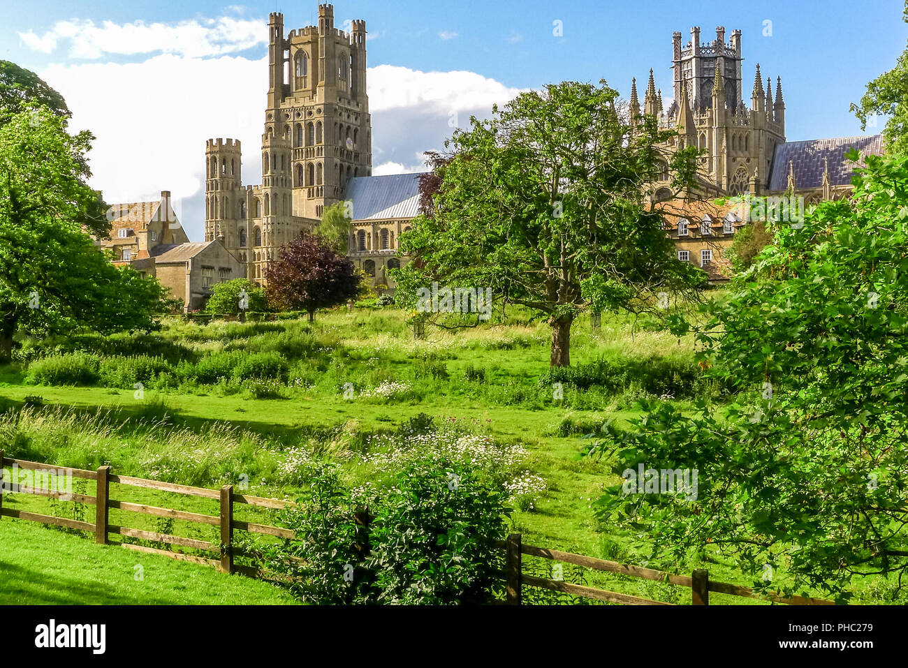 Blick auf die historische Kathedrale von Ely von Cherry Hill Park im Sommer, Ely, Cambridgeshire, England Stockfoto