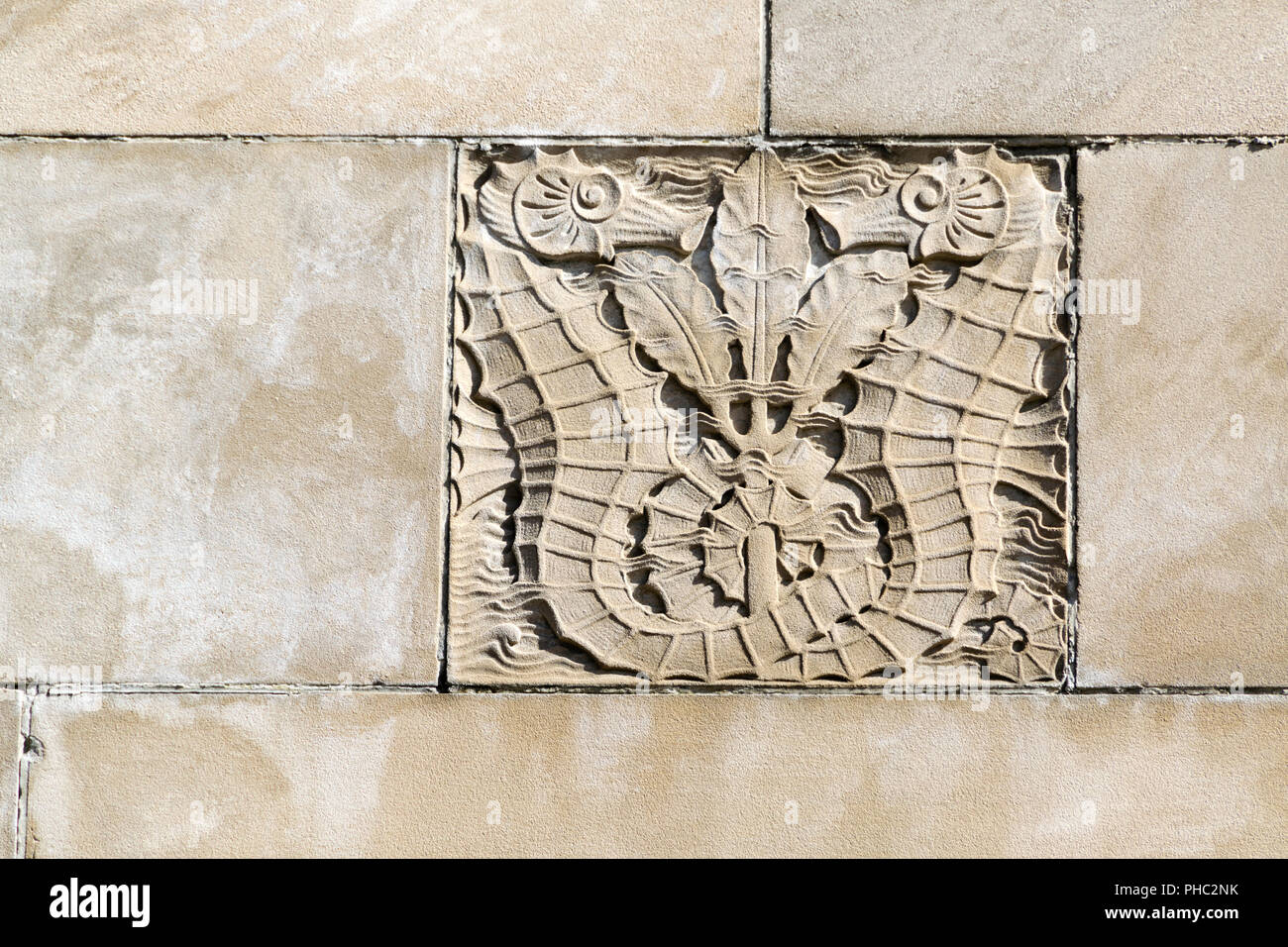 Seepferdchen Entlastung in Sandstein im Boardwalk Hall Stockfoto