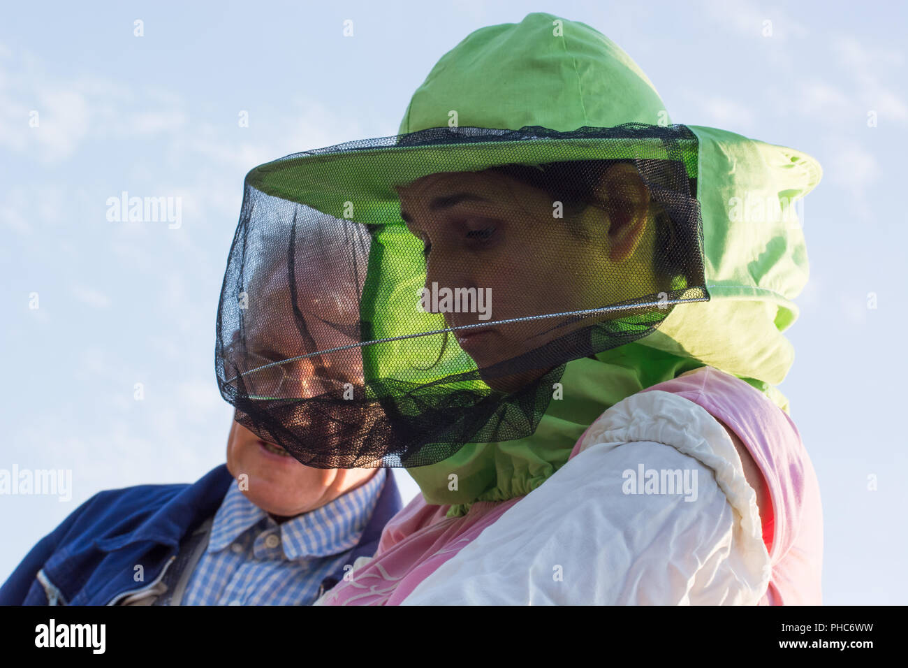 Frau Imker sieht nach Bienen im Bienenstock Stockfoto