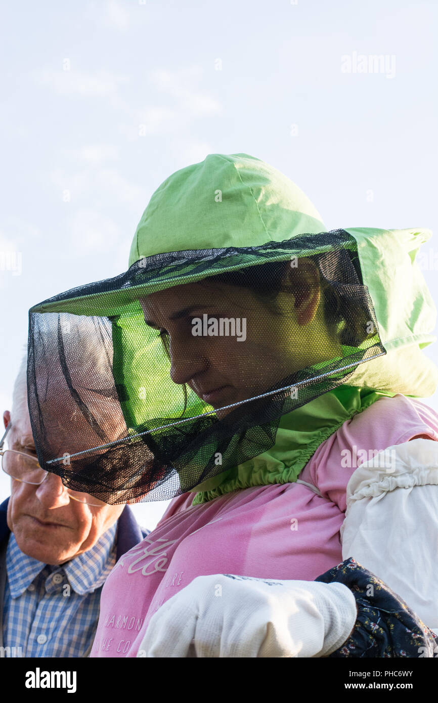 Frau Imker sieht nach Bienen im Bienenstock Stockfoto