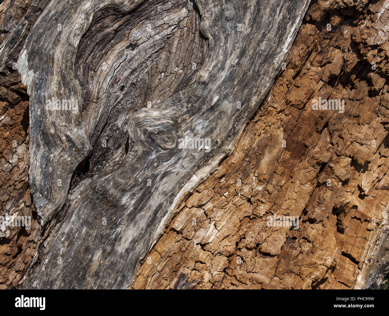 Risse in holz -Fotos und -Bildmaterial in hoher Auflösung – Alamy