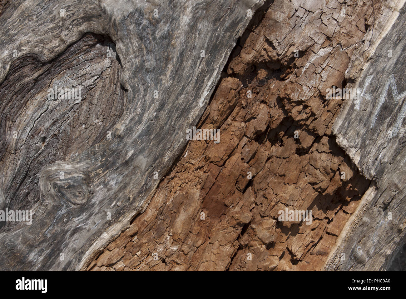 Risse in holz -Fotos und -Bildmaterial in hoher Auflösung – Alamy