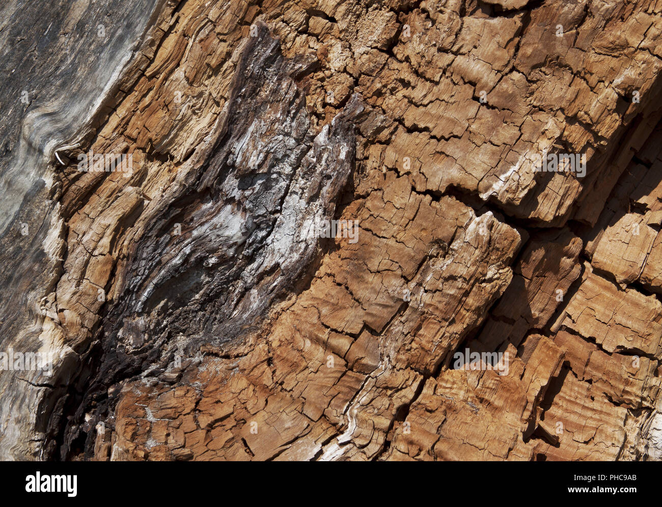 Risse In Holz Stockfotos und -bilder Kaufen - Alamy