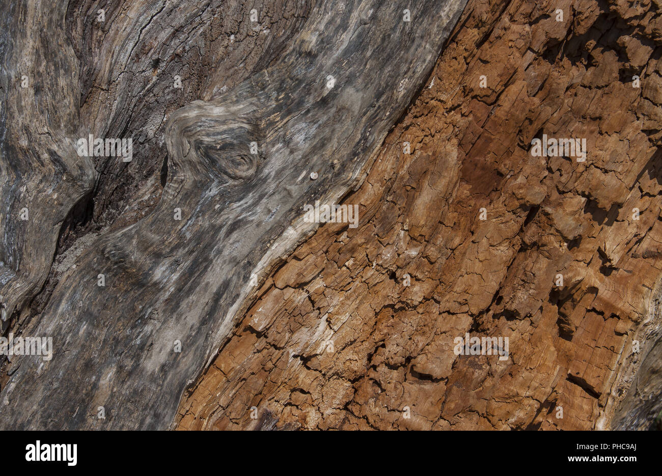 Risse In Holz Stockfotos und -bilder Kaufen - Alamy
