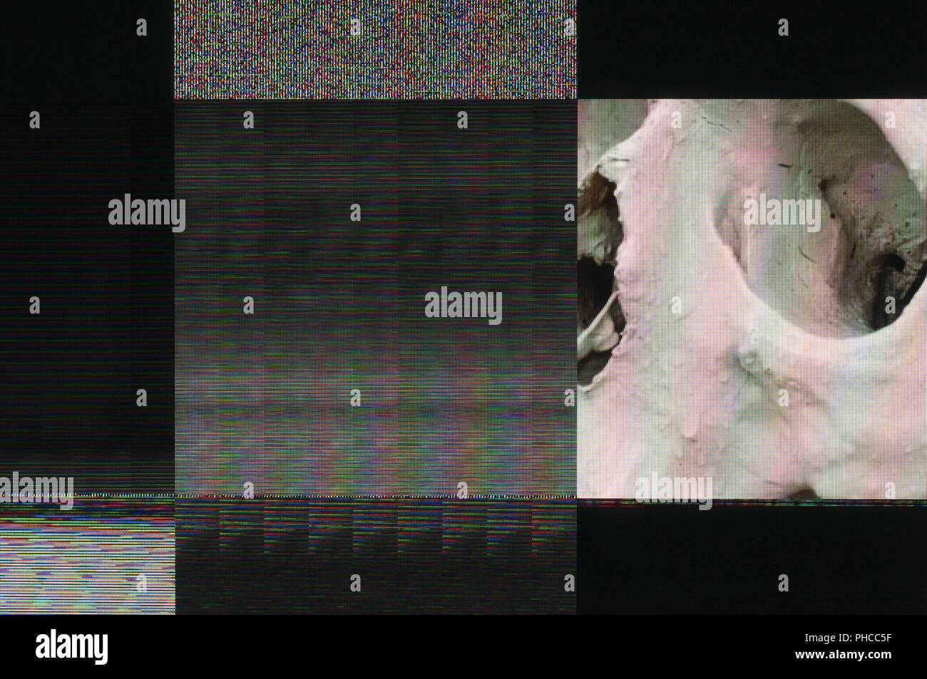 Digitale glitch mit Schädel Stockfoto