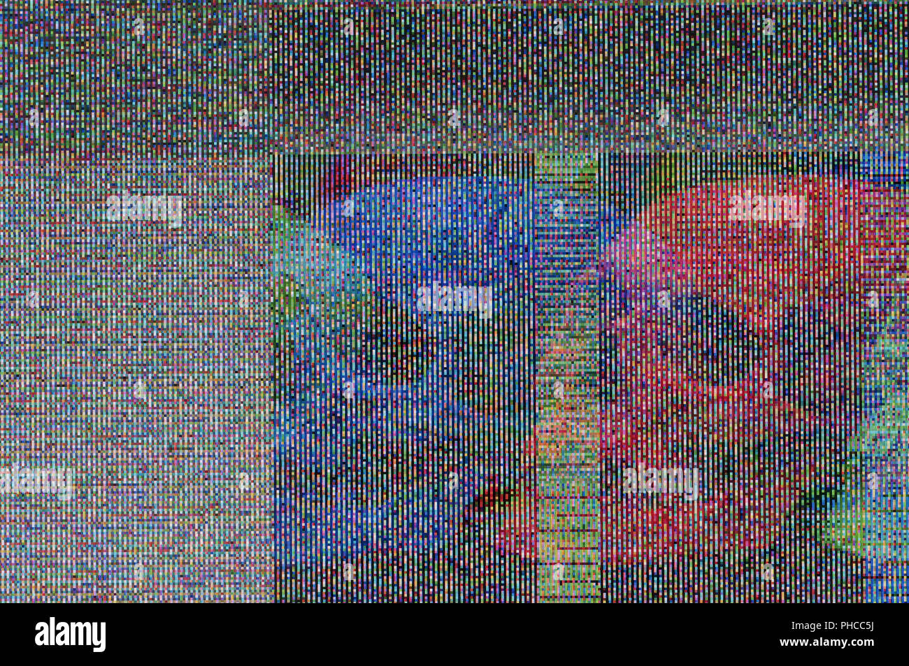 Digitale glitch mit Schädel Stockfoto