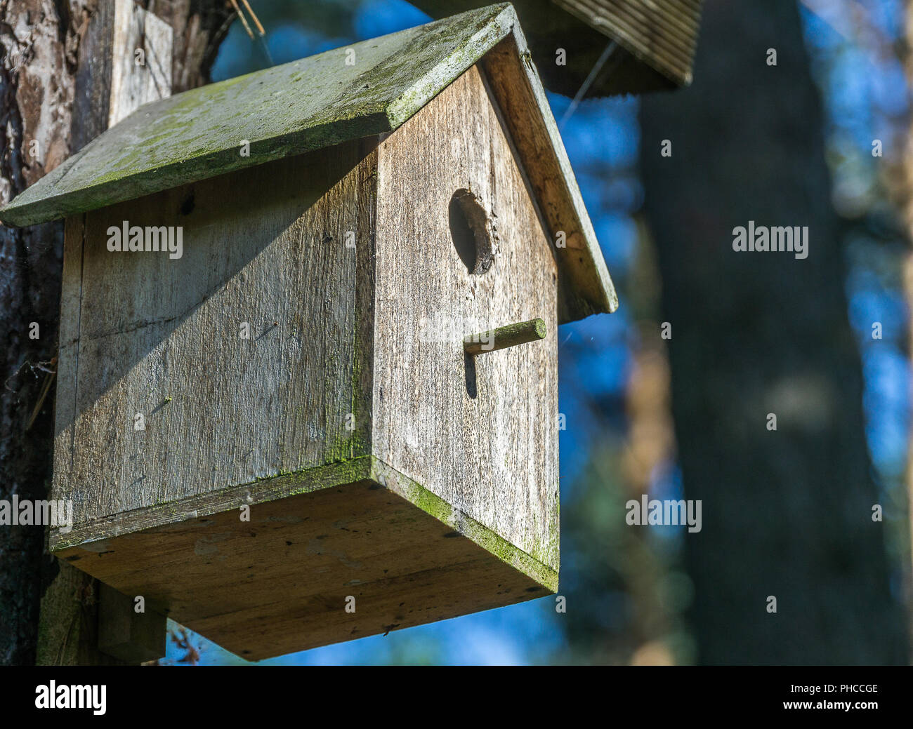 Detaillierte Zulassung Stockfotos und -bilder Kaufen - Alamy