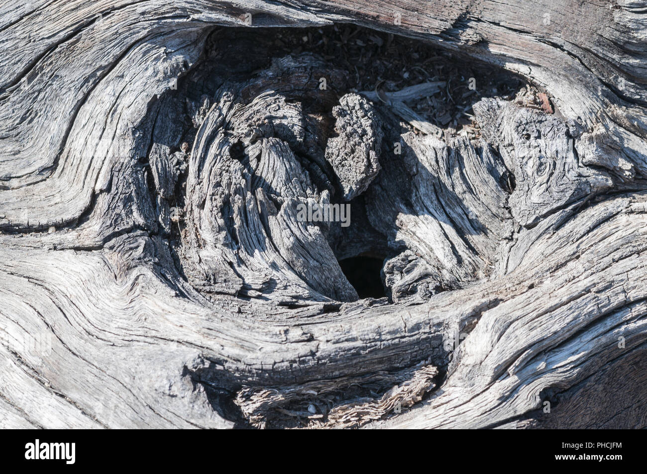 Rustikale grau Holz Hintergrund mit strukturellen Auswirkungen Stockfoto