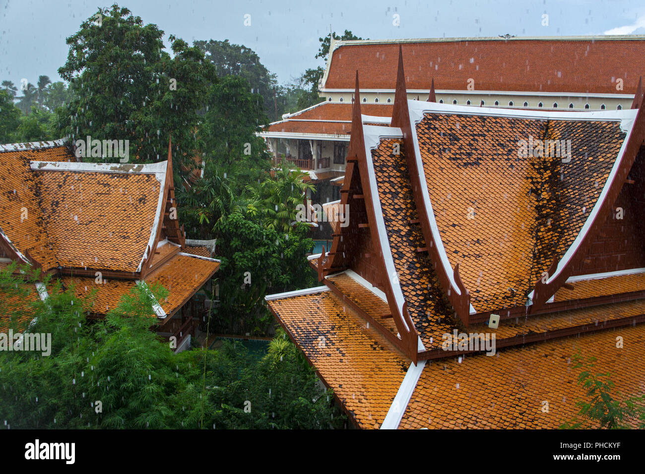 Starke tropische Regenguss in Thailand Stockfoto