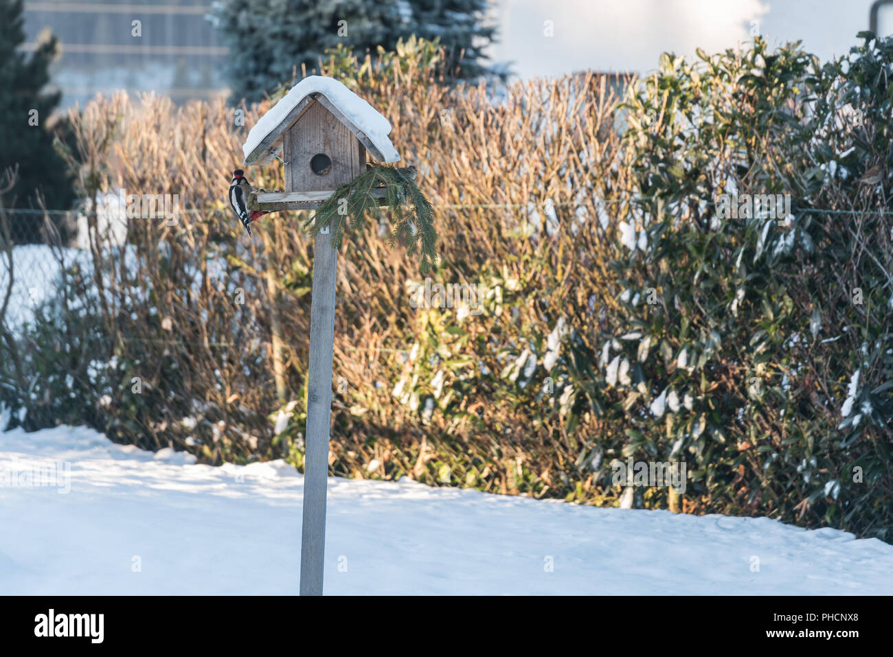 Vogelhaus winter Fotos und Bildmaterial in hoher Auflösung Alamy
