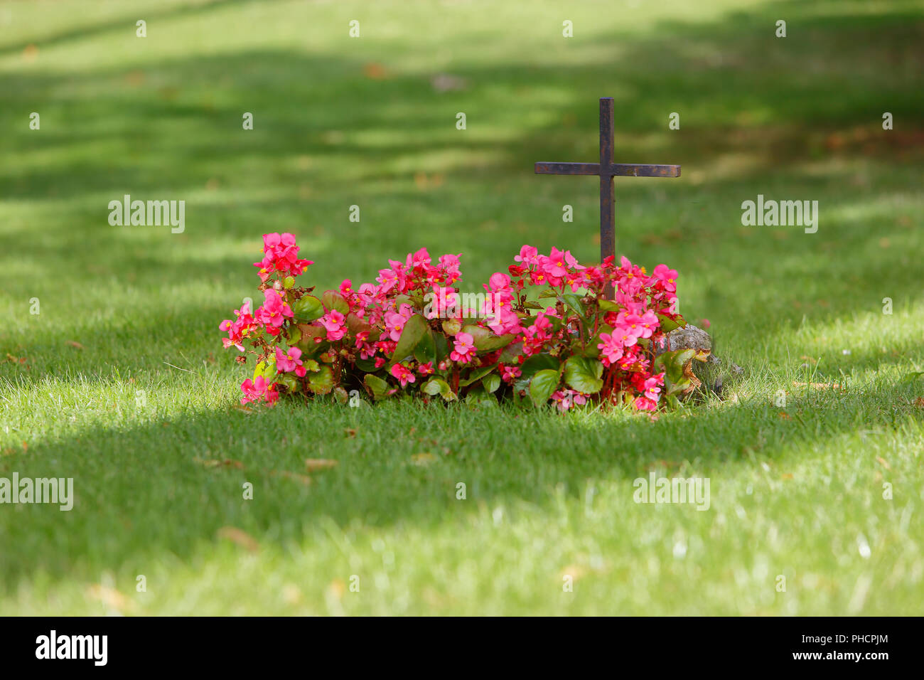 Ein christliches Grab mit roten Blüten mit einem eisernen Kreuz im Rasen gekennzeichnet. Stockfoto