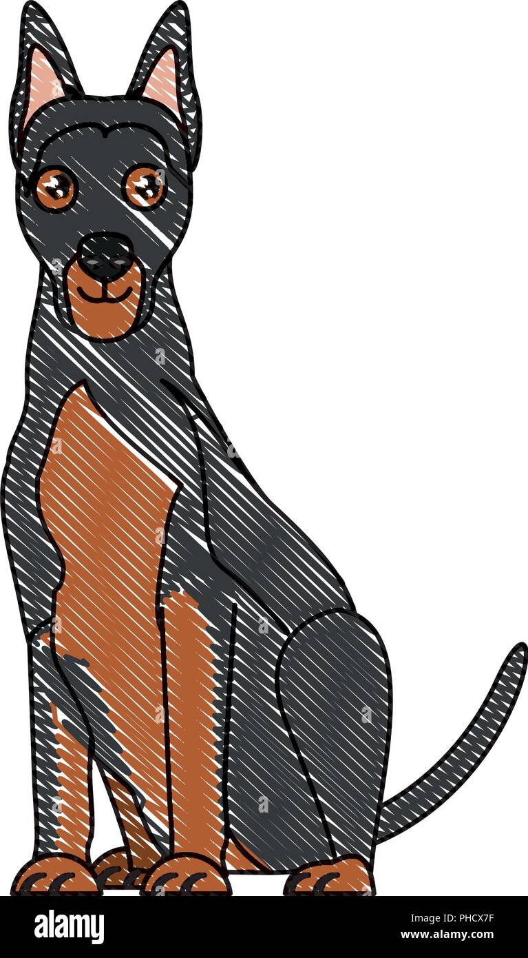 Süße Dobermann hund Symbol über Hintergrund, Vector Illustration Stock Vektor