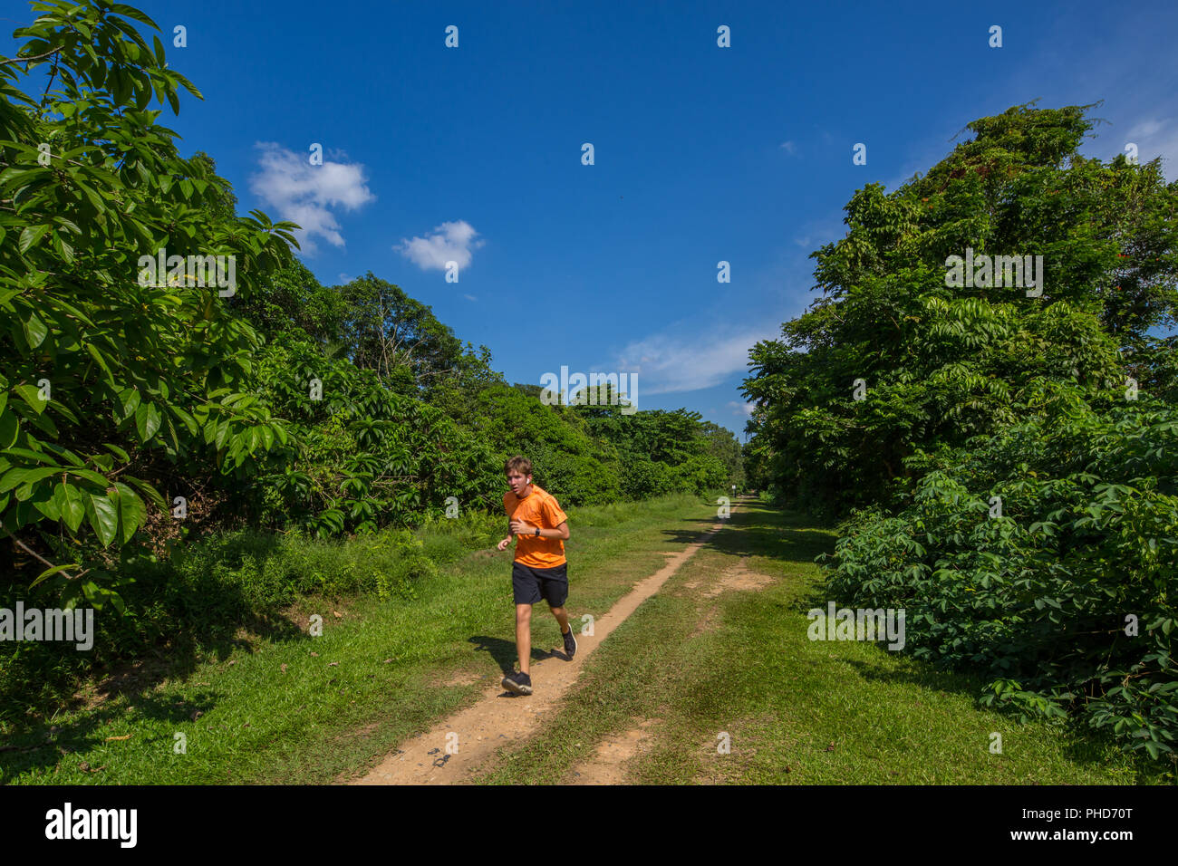 Ein junger Mann in weißem T-Shirt, schwarz kurz, läuft auf einem Naturlehrpfad, einer waldreichen, weitläufigen Umgebung. Singapur. Stockfoto