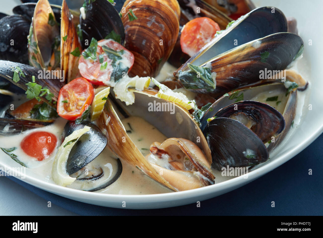 Muscheln, die nur für das Essen in einer blauen Schale gedünstet Stockfoto