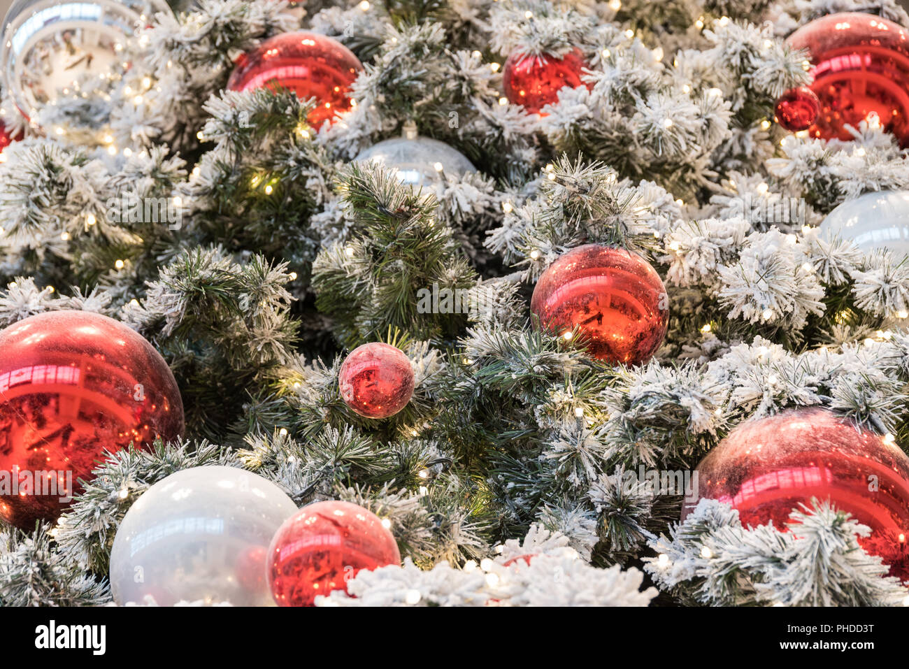 Rote und weiße Christbaum Kugeln mit verschneiten Tannenzweigen Stockfoto