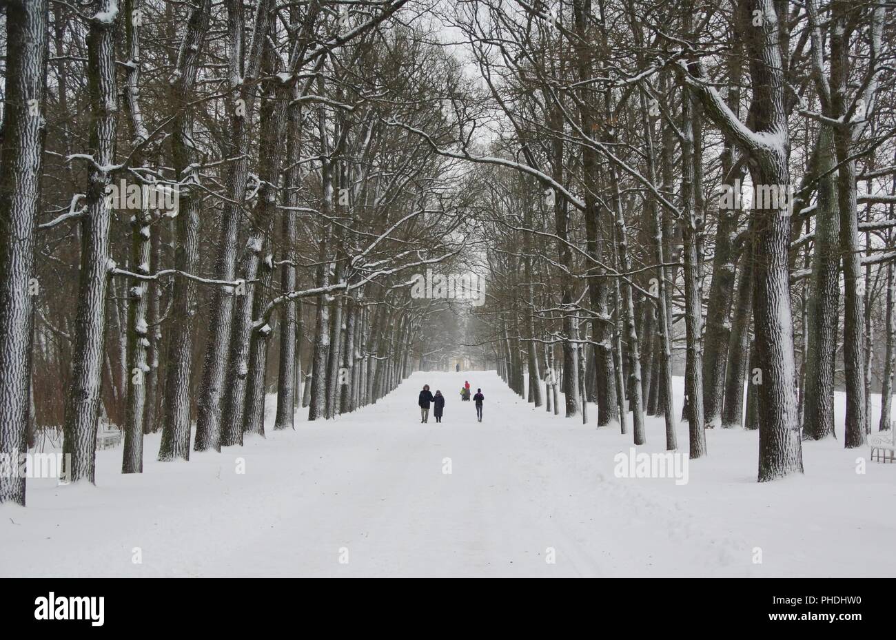 Winterspaziergang in Catherine Park Stockfoto