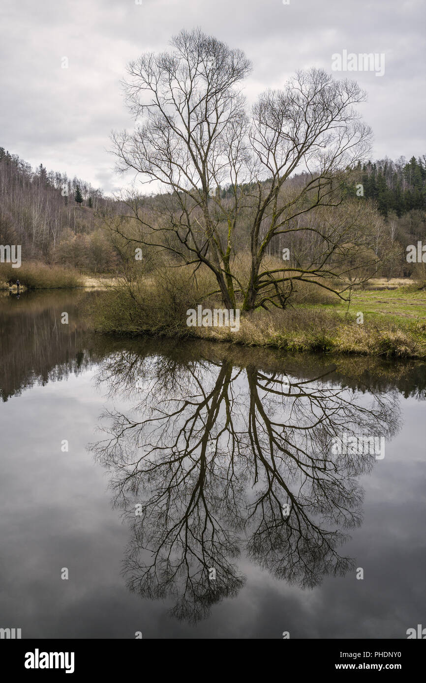 Besinnung im November Stockfoto