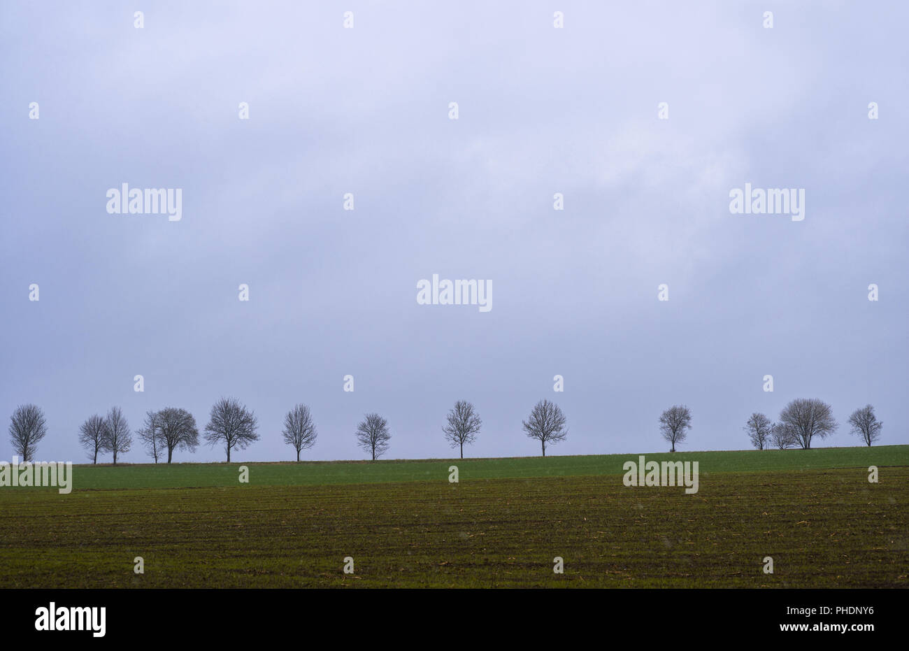 Drabheit im November Stockfoto