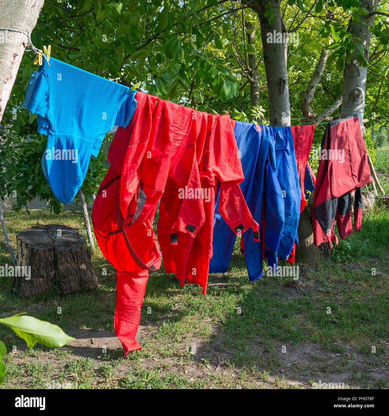 Klamotten Online im Garten Stockfoto