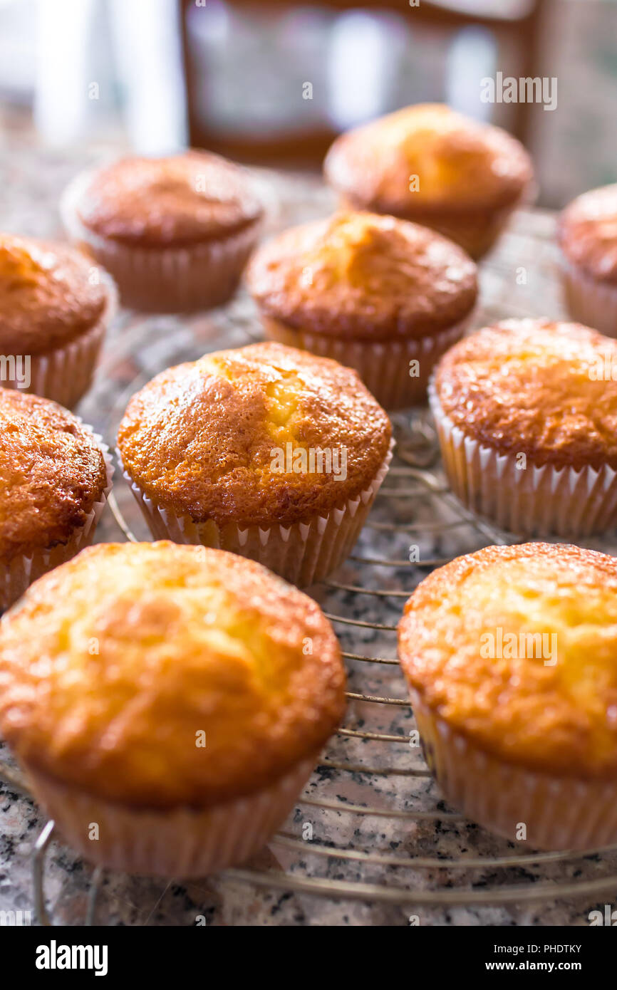 Batch an hausgemachten frisch gebackene Muffins Stockfoto