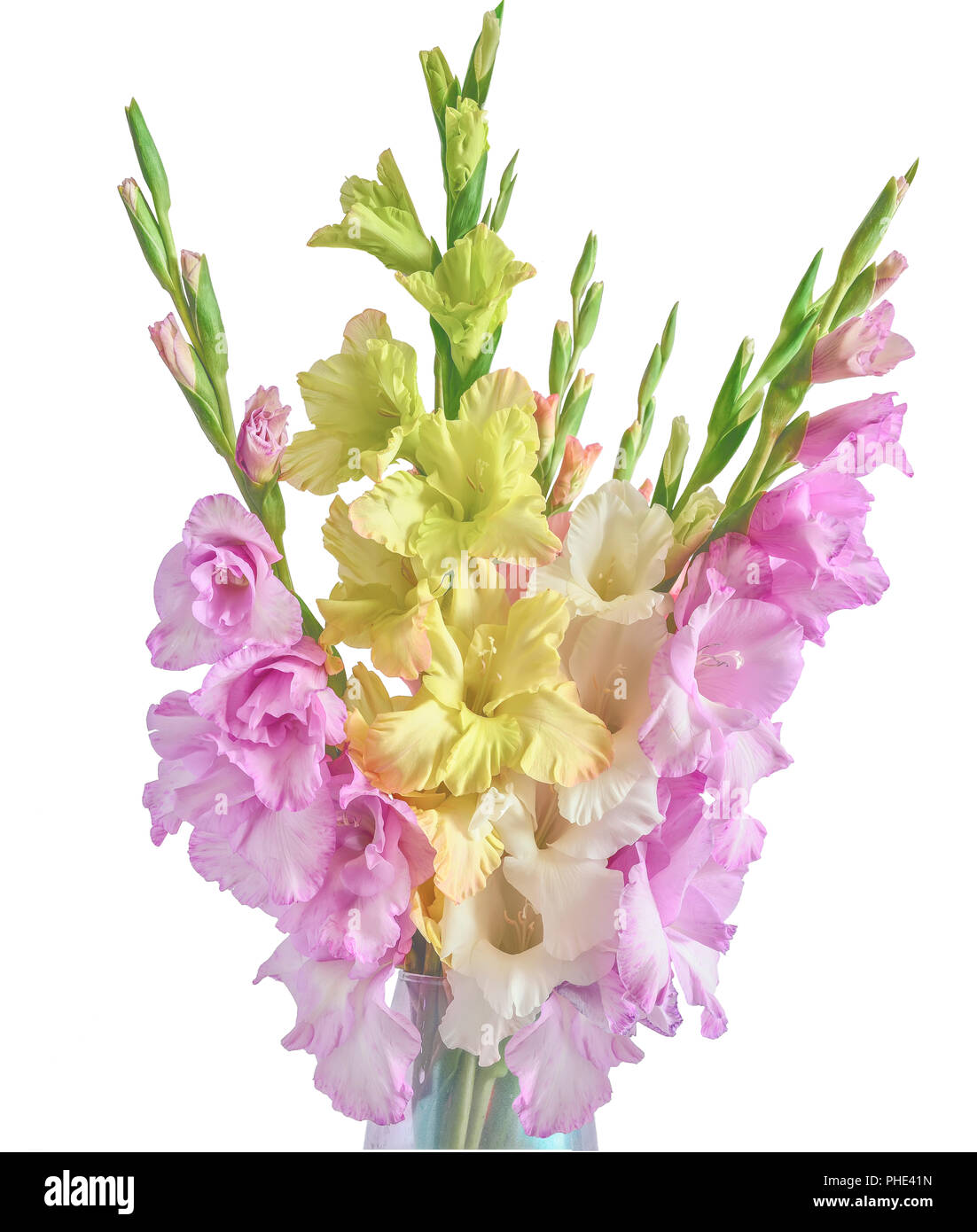 Romantisches Bouquet von schönen gladioluses Blüten in Pastelltönen in Vase auf einem weißen Hintergrund isoliert mit zarten Blumenmustern Stockfoto