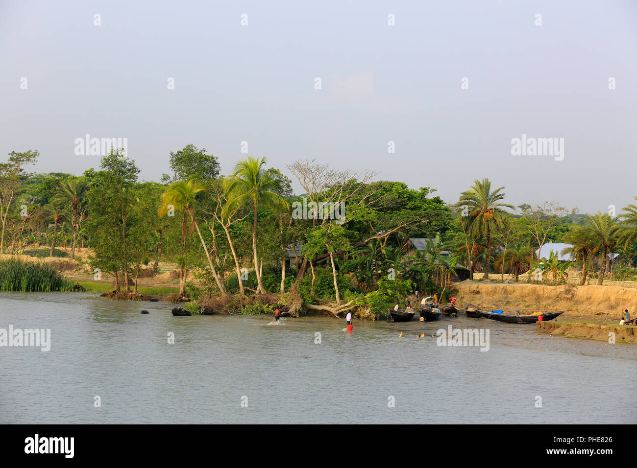 Erosion am Ufer des Flusses Tetulia, Patuakhali, Bangladesch Stockfoto