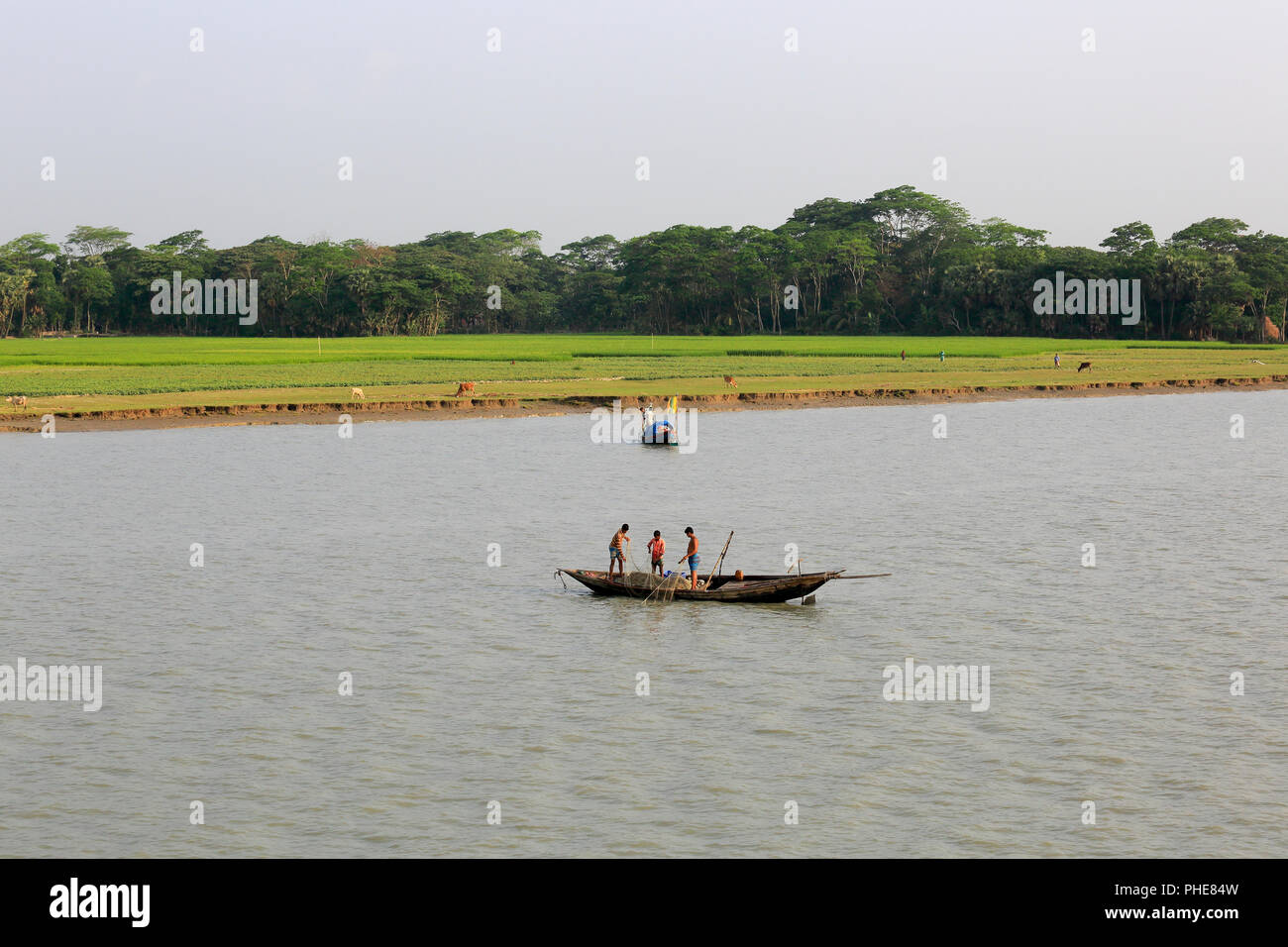 Landwirtschaftliches Feld auf der Bank von Tetulia River. Patuakhali, Bangladesch Stockfoto