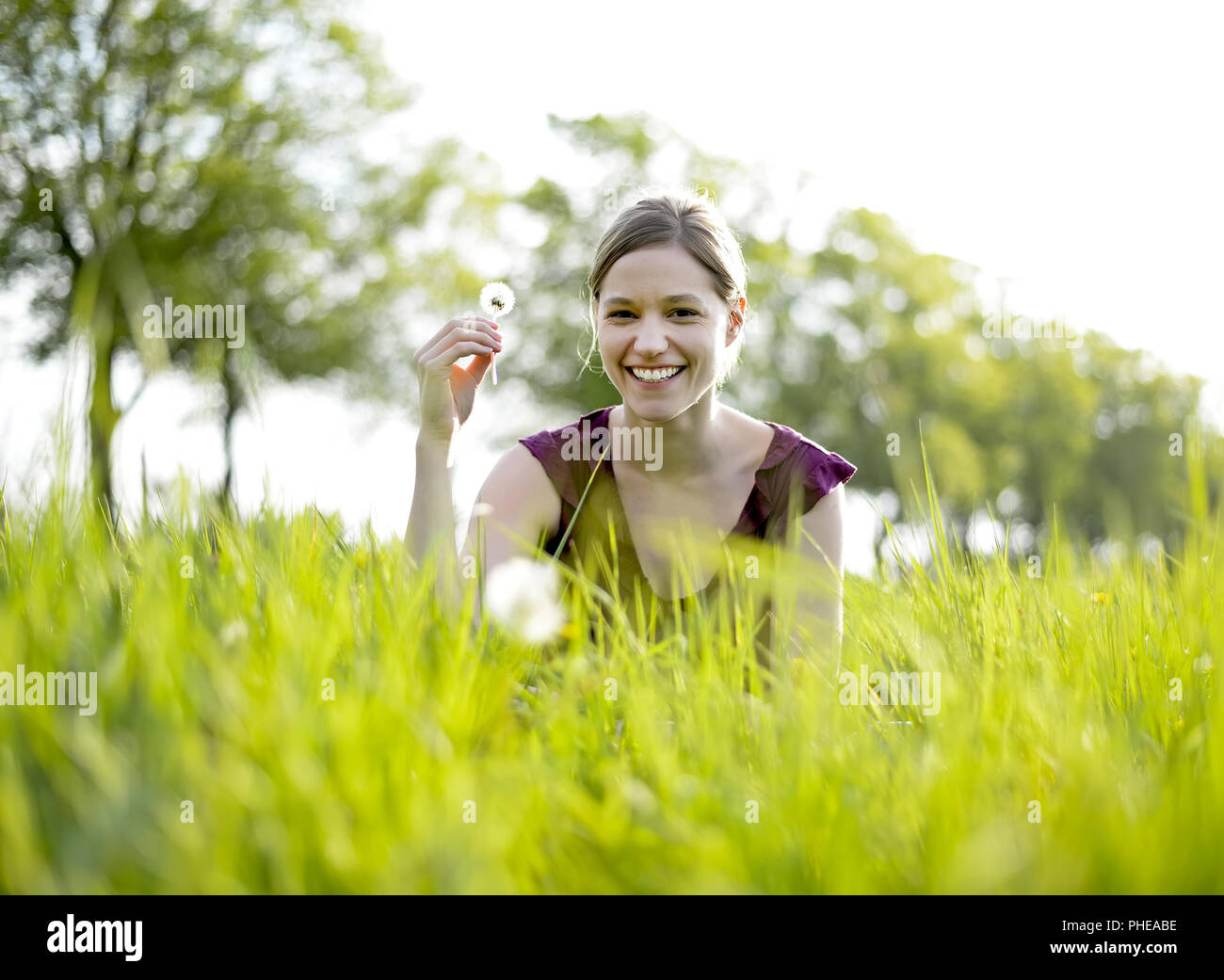 junge Frau mit Löwenzahn Stockfoto