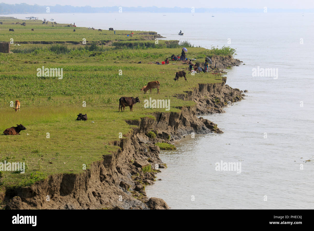 Erosion am Ufer des Flusses Tetulia, Patuakhali, Bangladesch Stockfoto