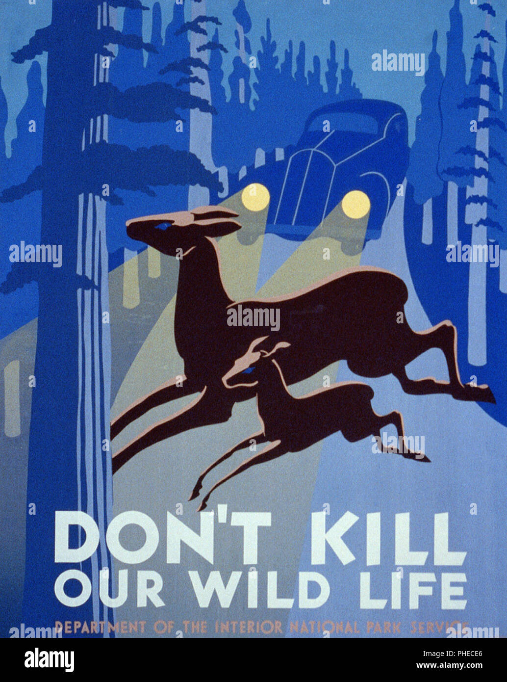 Poster mit zwei Hirsche Kreuzung Straße vor herannahenden Auto. Stockfoto