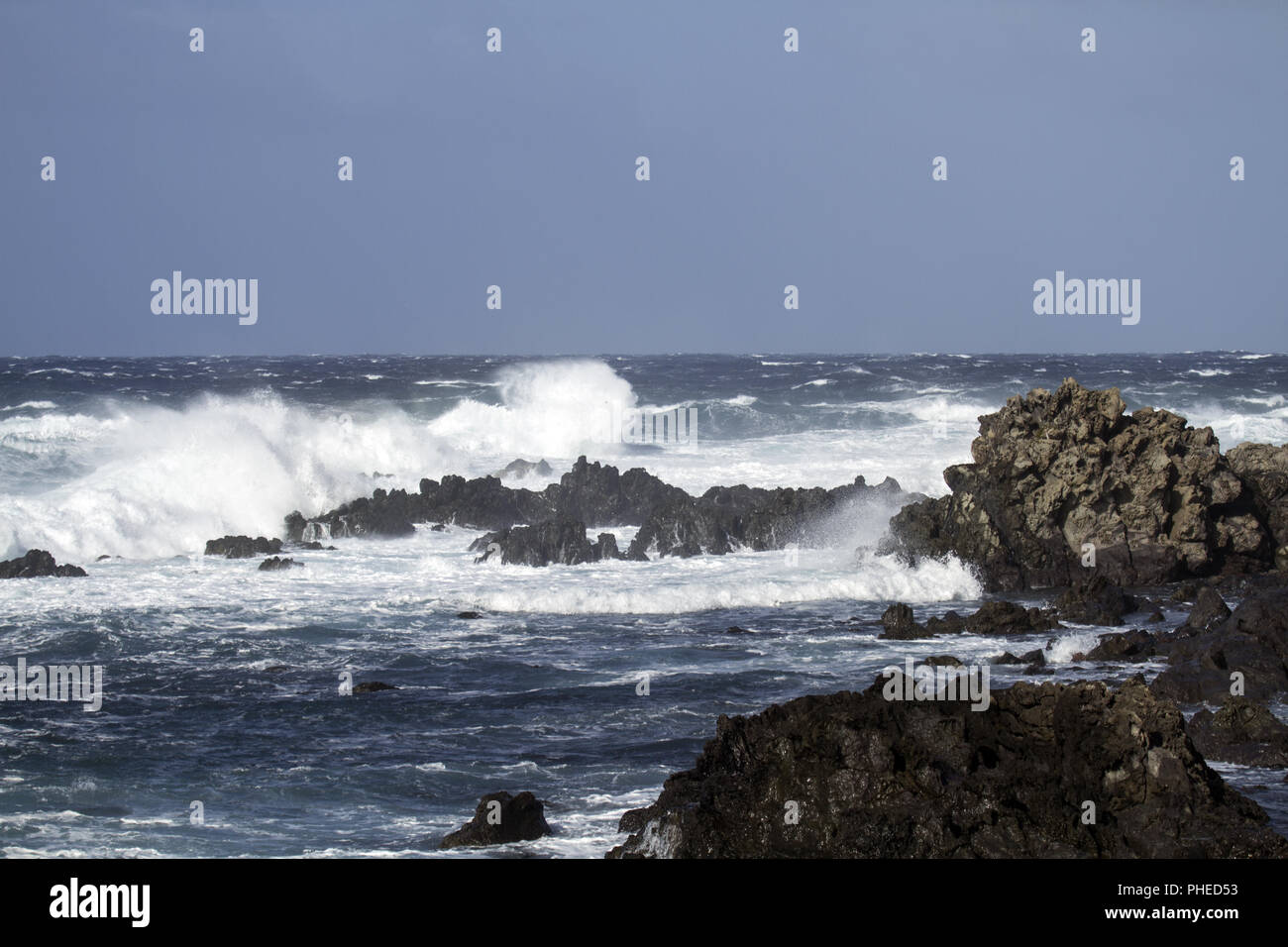 Insel Corvo, Azoren, Portugal Stockfoto