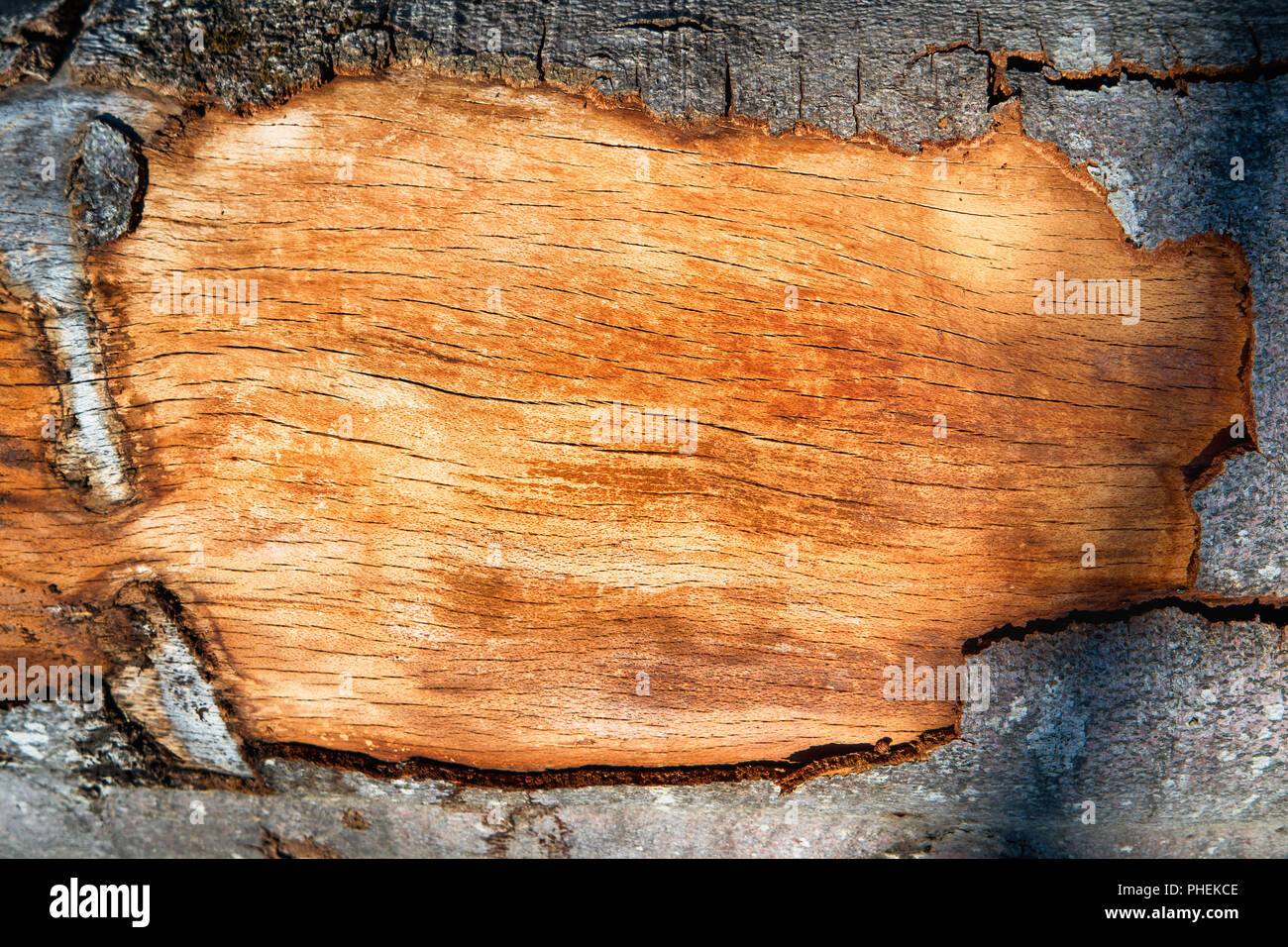 Holz Eiche Plank als Rahmen Stockfoto