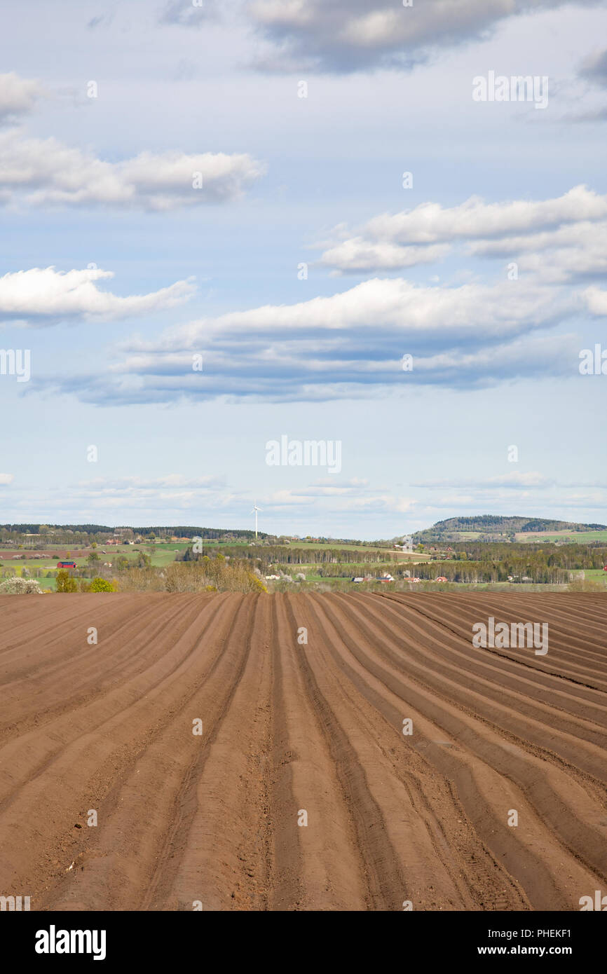 Ländliche Aussicht auf ein Kartoffelfeld im Frühjahr Stockfoto