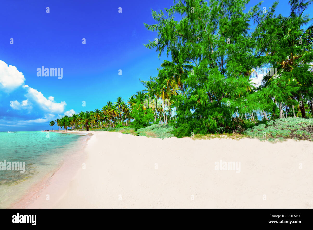 Paradise tropical beach palm Karibik Dominikanische Stockfoto