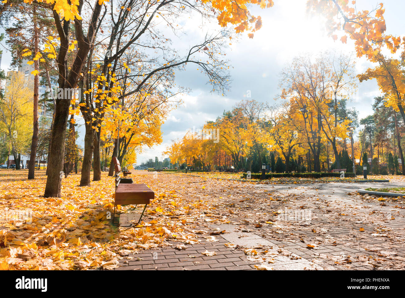 Allee im Herbst City Park Stockfoto