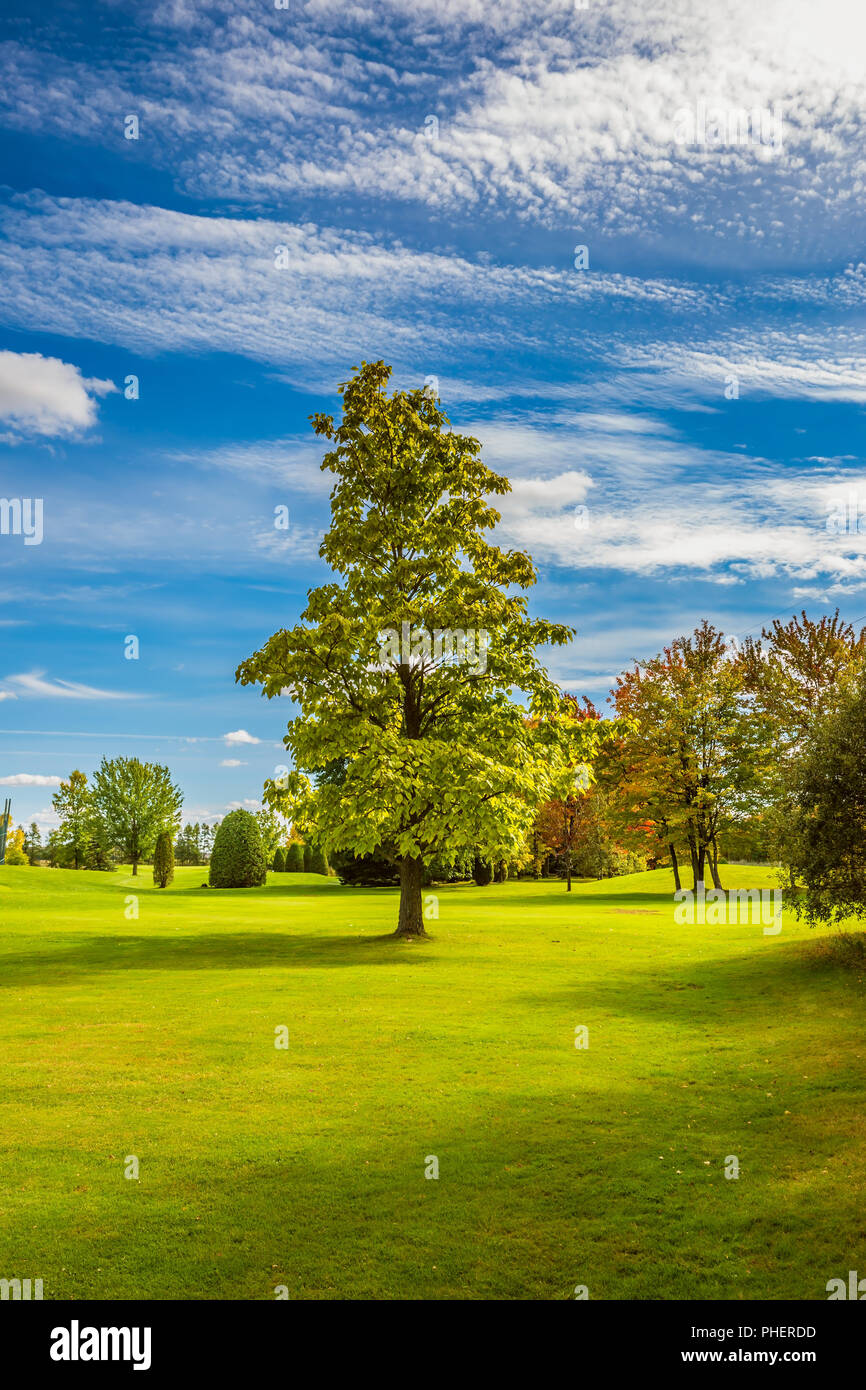 Umgebung von Montreal Stockfoto