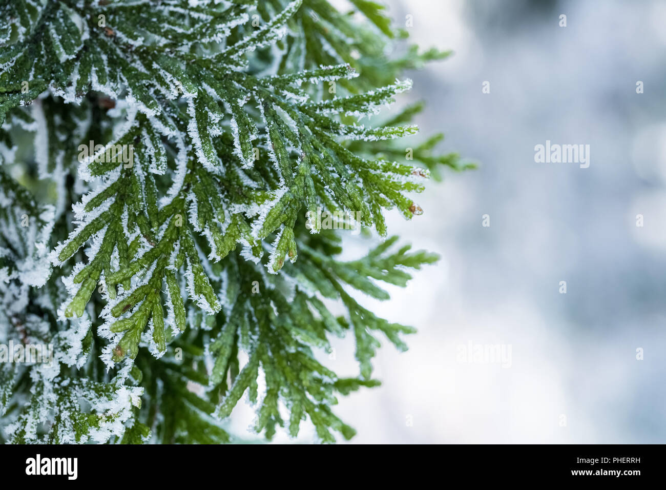 Winter Hintergrund Stockfoto