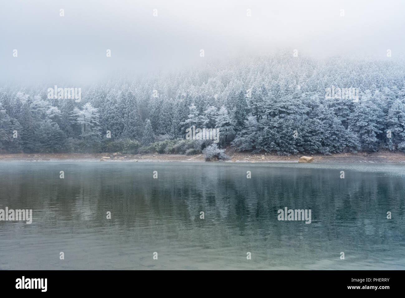 See und Wald im Winter Stockfoto