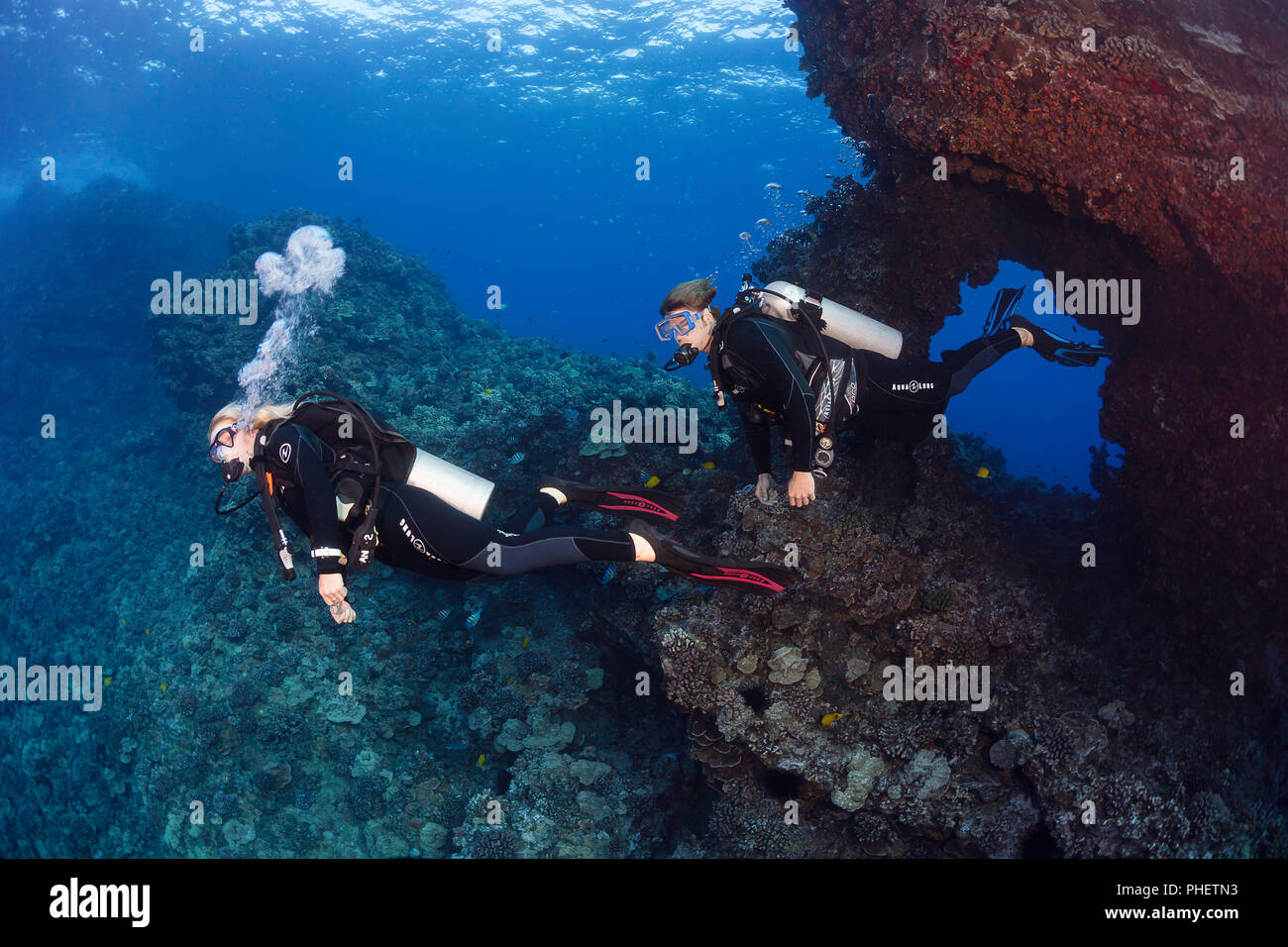 Dieses Paar (MR) erkunden die Reef außerhalb der Ersten Kathedrale vor der Insel Lanai, Hawaii. Stockfoto