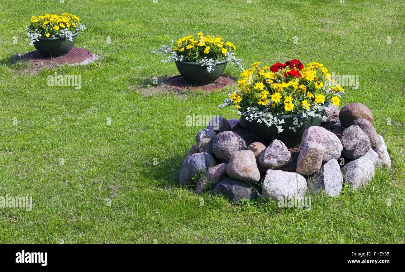 Blumentöpfe auf Rasen Stockfoto