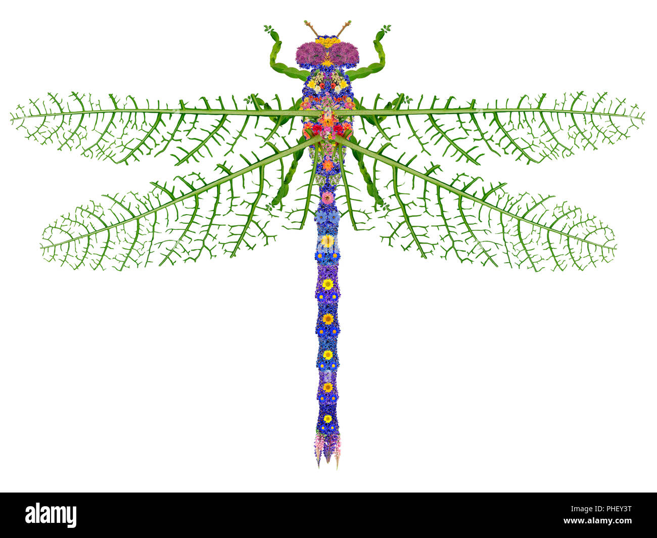 Florale Dragonfly isoliert Stockfoto