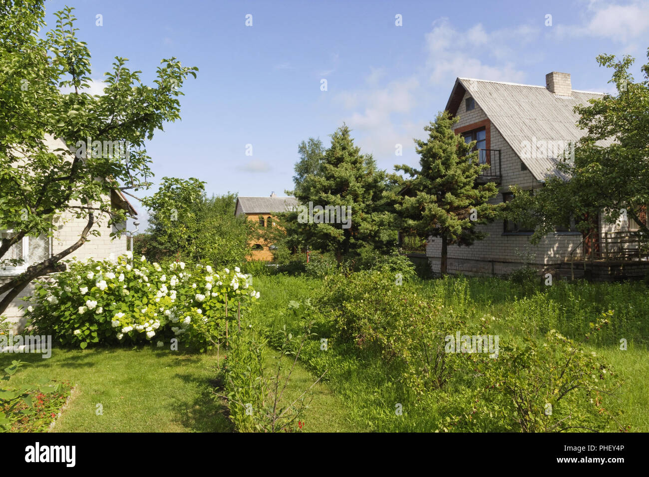 Grüner Garten Stockfoto