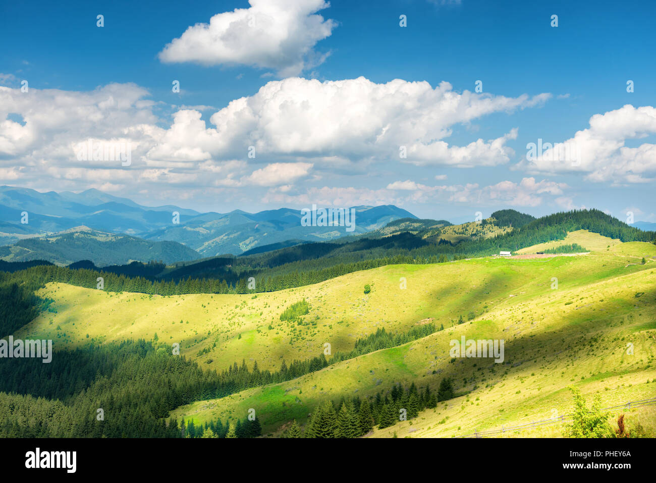 Grünen sonnigen Tal in den Bergen Stockfoto