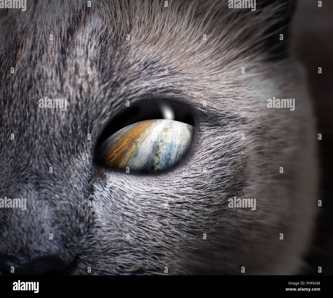 Geheimnisvolle Katze Auge mit lila Galaxy im Inneren. Stockfoto