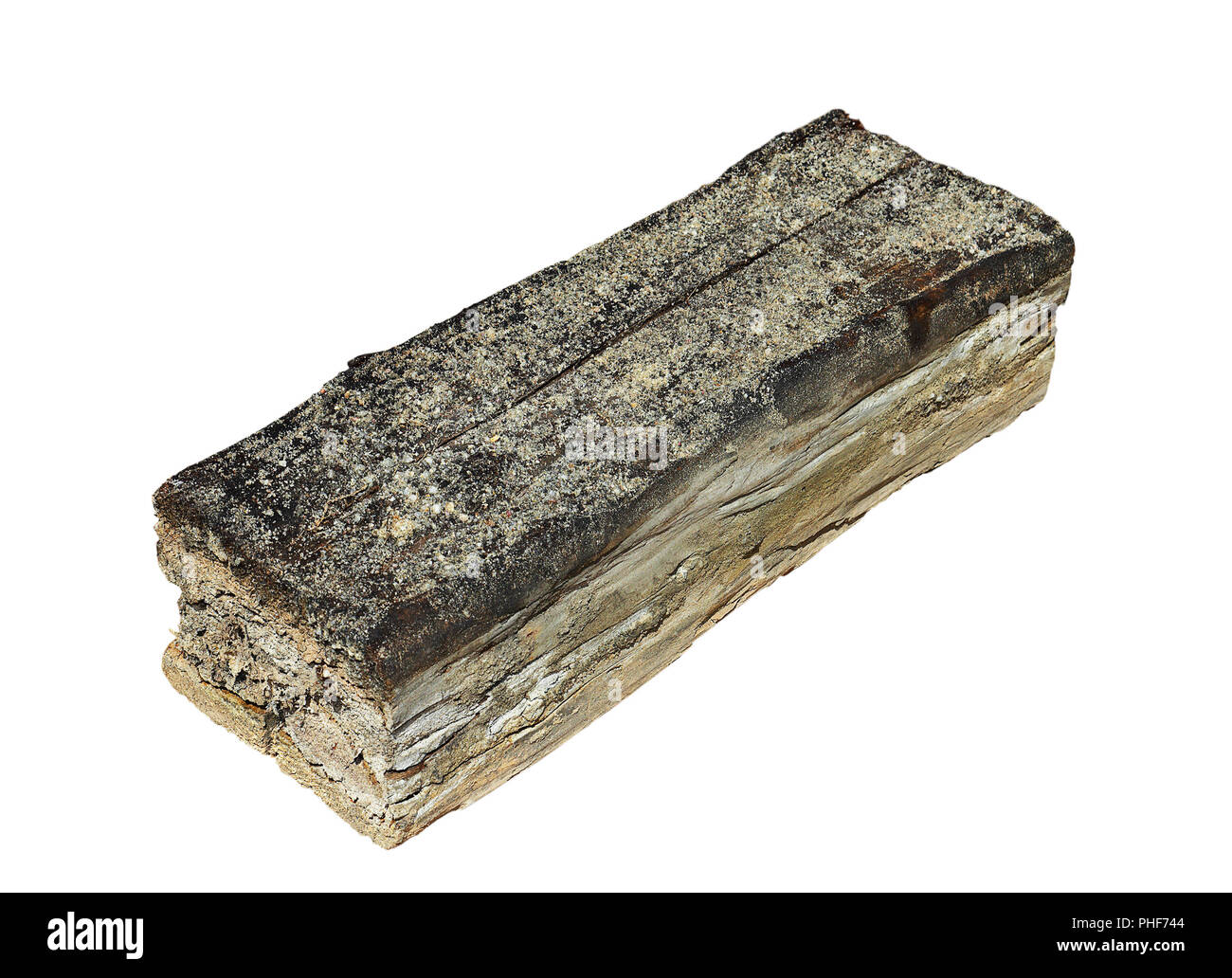 Isolierte Stück Holz durch Pilz verfiel; dieses ist von einem Stock durch Hausschwamm angegriffen Stockfoto